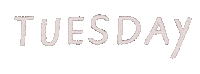Tuesday Weekday Sticker by Bettyestpartout