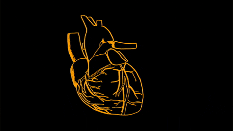 Digital art gif. An anatomical heart slowly pumps while flashing various neon colors.