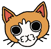 Cat Sticker