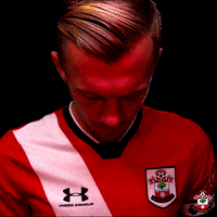 Premier League Football GIF by Southampton FC