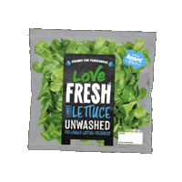 Salad Lettuce Sticker by G's Fresh
