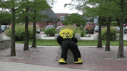 Wu_Shock tired relax wsu wu GIF
