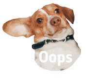Dog Smile Sticker
