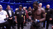 Mixed Martial Arts Sport GIF by UFC