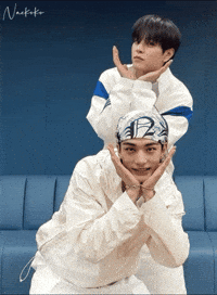 Skz Straykids GIF