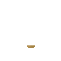 Fitness Gold Sticker by DSB SoMe