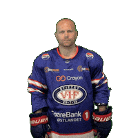 Goal Get Sticker by VIF Hockey