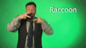 sign language raccoon GIF by Sign with Robert