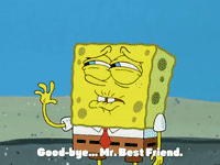 season 4 GIF by SpongeBob SquarePants