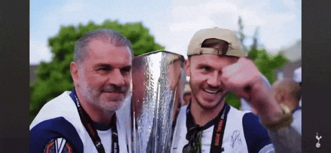 James Maddison Spurs GIF