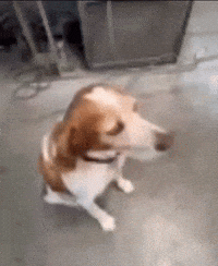 Suspicious Side Eye GIF