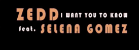 i want you to know GIF by Selena Gomez