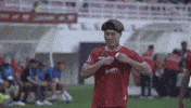 Football Goal GIF by Persisofficial