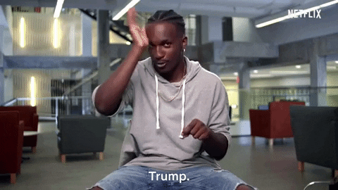 ElyseTheBeast giphygifmaker netflix trump asl GIF