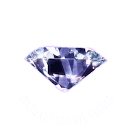Dolcevita Sticker by Dolce Vita Fashion Jewelry
