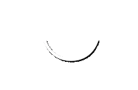 Savage Not Sorry Sticker by SAVAGE X FENTY