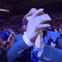 New York Knicks GIF