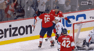 Ice Hockey Hug GIF by NHL