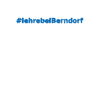 BerndorfBandGroup bsg lehre berndorf berndorfbären Sticker
