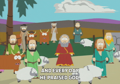 lamb cows GIF by South Park 