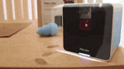 dog puppy GIF by Product Hunt