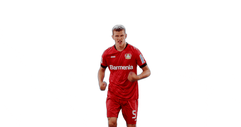Bayer 04 Goal GIF by Bayer 04 Leverkusen