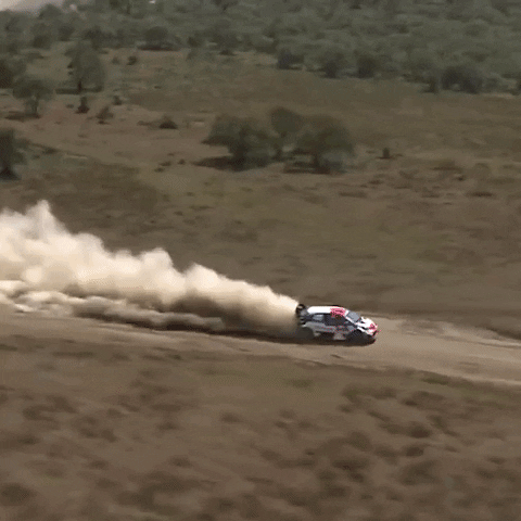 Racing Speed GIF by FIA World Rally Championship