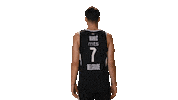 Partizan Sticker by sportmts