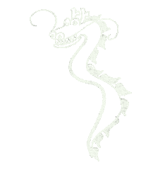 Fly Dragon Sticker