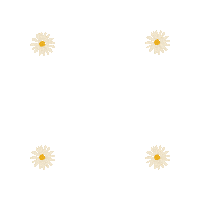 Flower Daisy Sticker