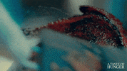 Nikolaj Coster-Waldau Food GIF by Magnolia Pictures