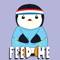 Hungry Feed Me GIF by Pudgy Penguins