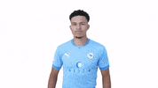 apeaakrotirifc akrotiri fc apeafc apea akrotiri fc apea GIF
