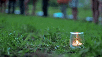 Sgdf Scoutisme GIF by Scouts et Guides de France