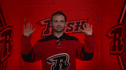 RapidCityRush rapidcityrush raisetheroof peterquenneville GIF