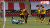 Celebration Goal GIF by ElevenSportsBE