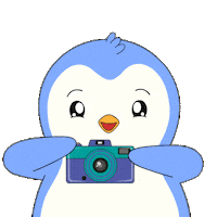 Penguin Smile Sticker by Pudgy Penguins