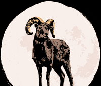 Bleckwiesen bwf bleckwiesen bleckwiesenfestival GIF