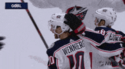 Ice Hockey Sport GIF by NHL
