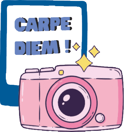 Fun Photography Sticker by Inednet