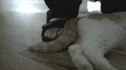 riz ahmed drama GIF by HBO