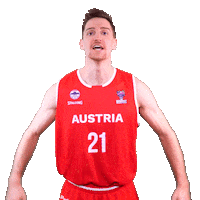 Fiba Teamaustria Sticker by Basketball Superliga