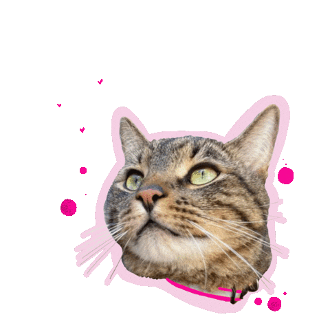 Luna Hearts Sticker