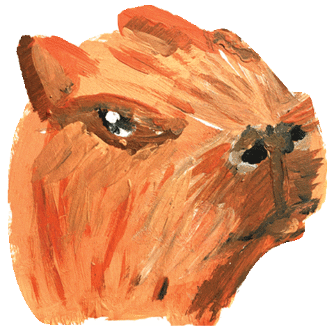 Leydehumedalesya Sticker by María Martinez