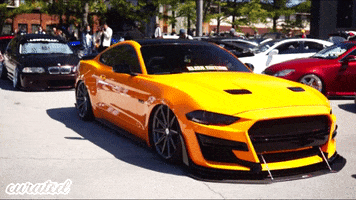 Club Cars GIF by Curated Stance Club!
