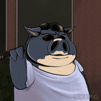 Salt Bae Mood GIF by Nikepig