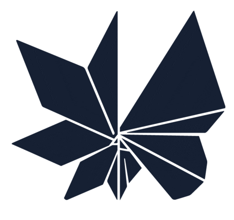 Butterfly Sticker by mimycri