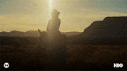 season 2 ww GIF by Westworld HBO