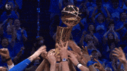 Nba Finals Win GIF by NBA