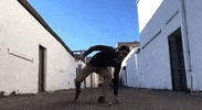 Dance Fun GIF by Rabotat Records